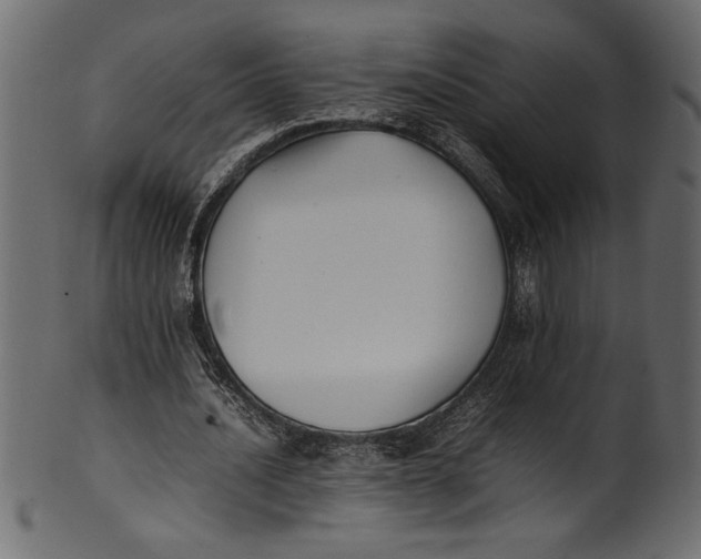 X0000101220628200807181552