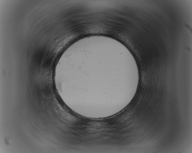 X0000101220629200807181552
