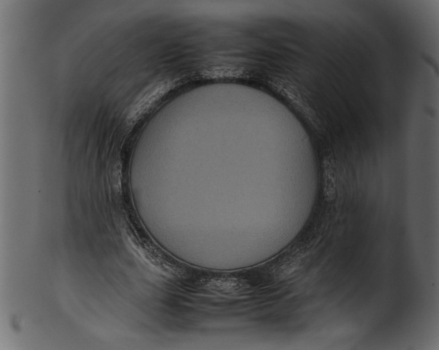X0000101220631200807181552