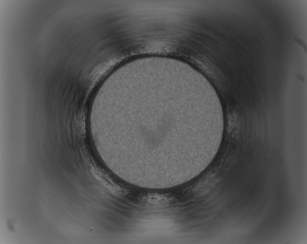 X0000101220632200807181552