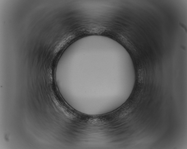X0000101220634200807181552
