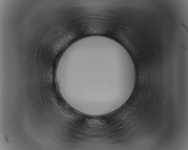X0000101220635200807181553
