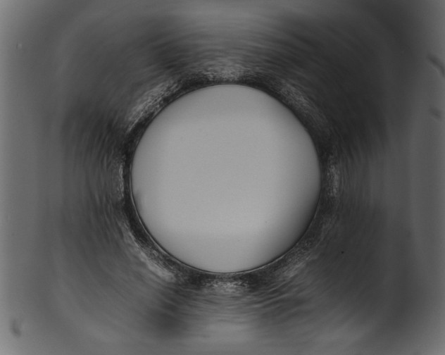 X0000101220638200807181553