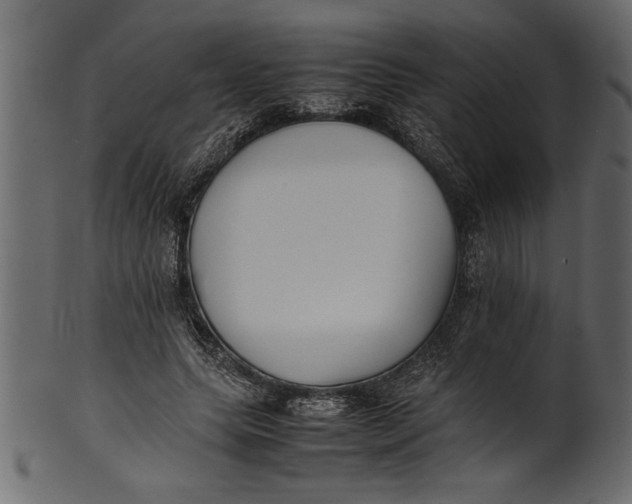 X0000101220639200807181553