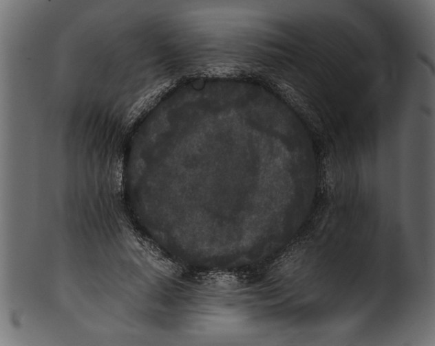 X0000101220640200807181553