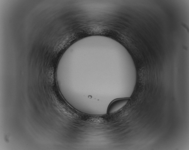 X0000101220642200807181553
