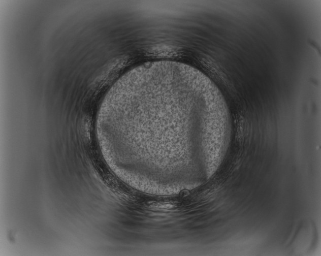 X0000101220643200807181553