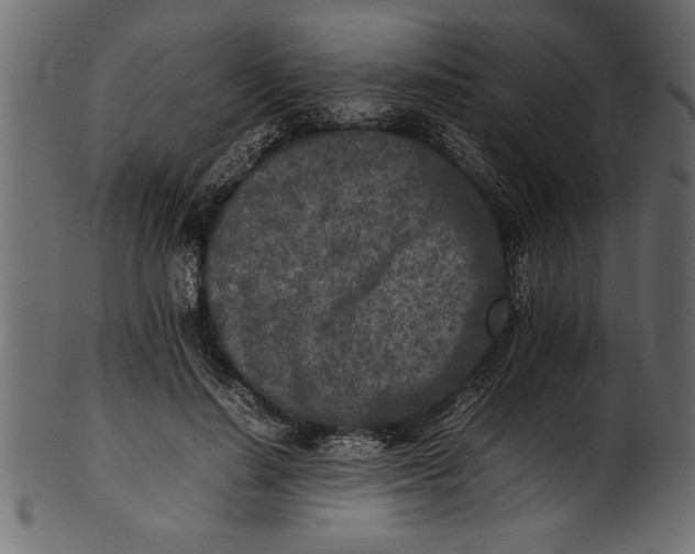 X0000101220644200807181553