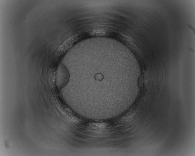 X0000101220645200807181553