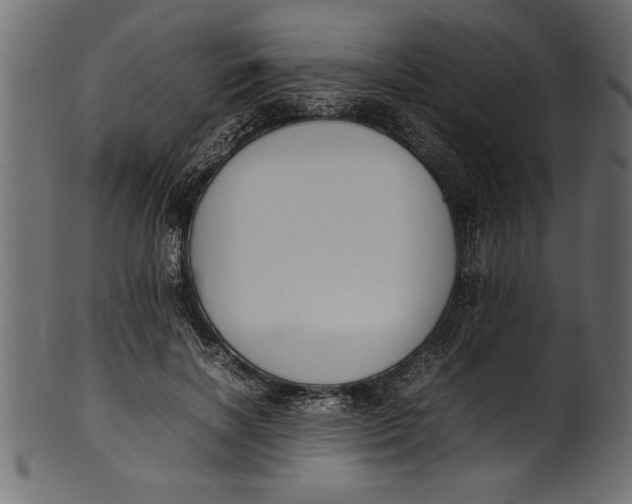X0000101220646200807181553