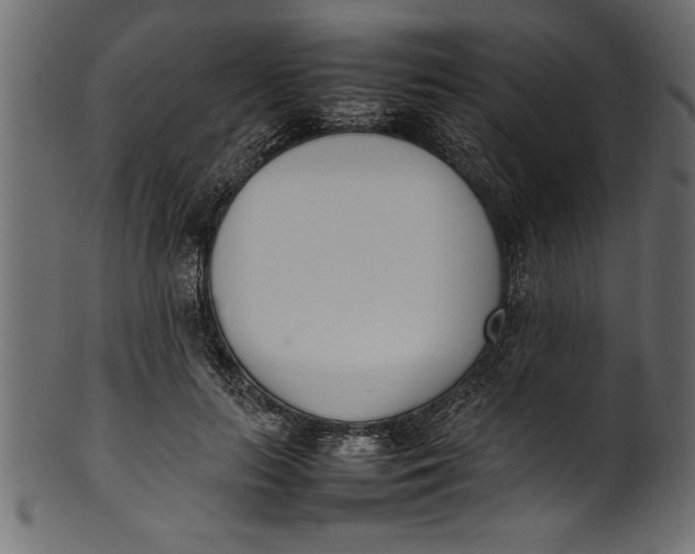 X0000101220647200807181553
