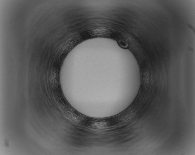 X0000101220653200807181553