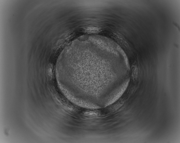 X0000101220655200807181553