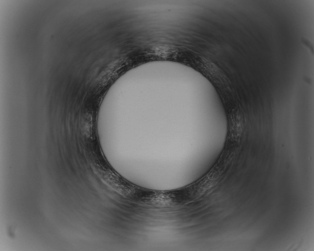 X0000101220656200807181553
