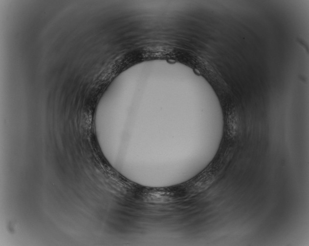 X0000101220657200807181553
