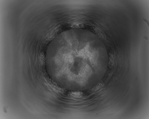 X0000101220659200807181553