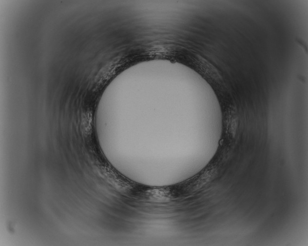 X0000101220660200807181553