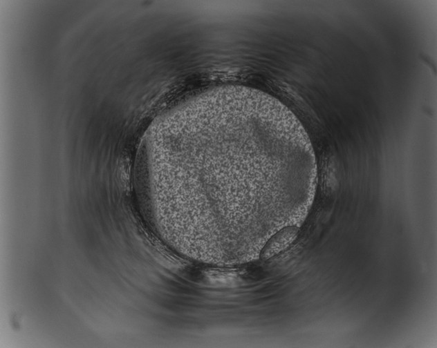 X0000101220661200807181553