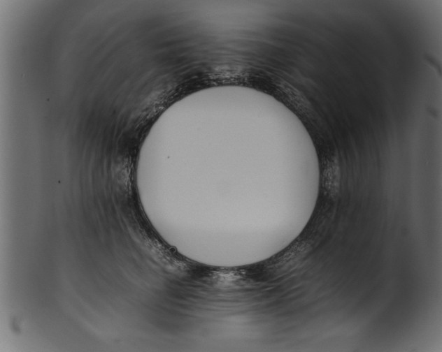 X0000101220662200807181553