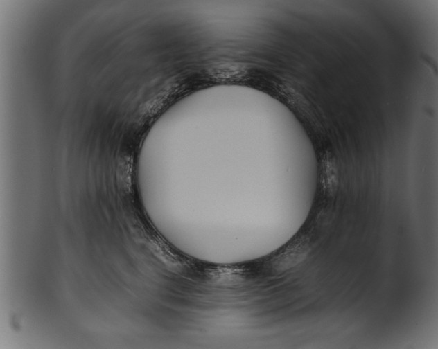 X0000101220664200807181553