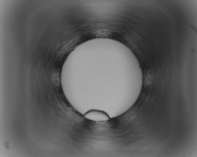 X0000101220666200807181553