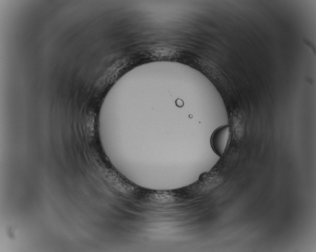 X0000101220668200807181553