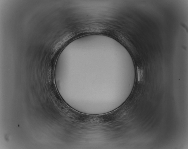 X0000101220675200807181552
