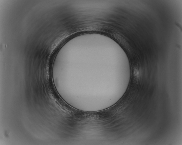 X0000101220676200807181552