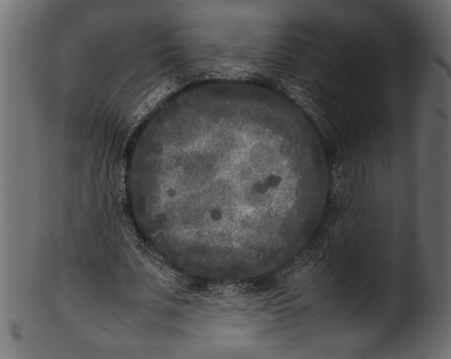 X0000101220679200807181552