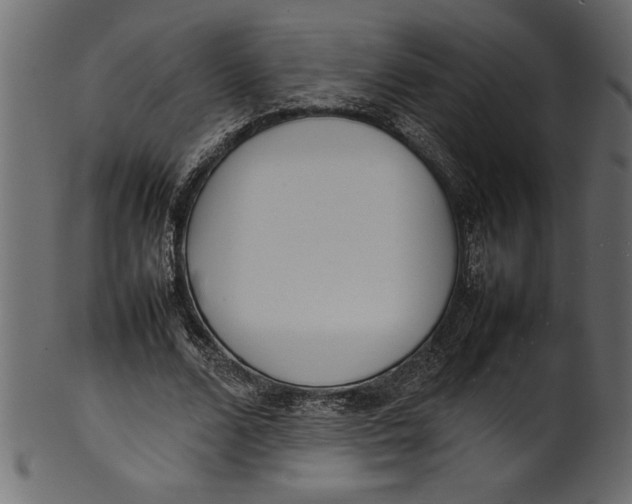 X0000101220680200807181552