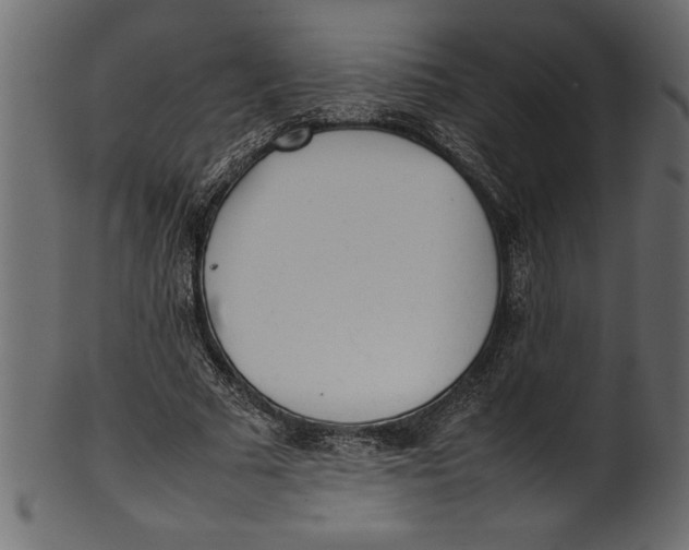 X0000101220681200807181552