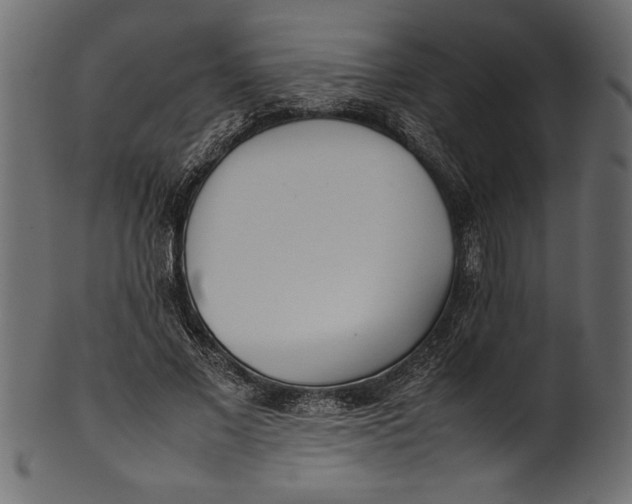 X0000101220685200807181552