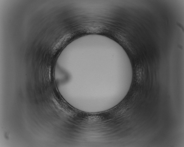 X0000101220686200807181552