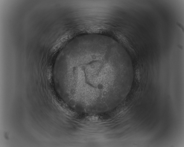 X0000101220687200807181552
