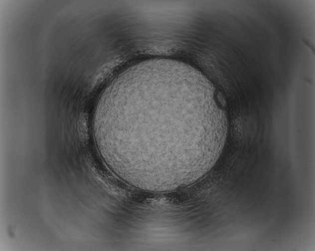 X0000101220688200807181552