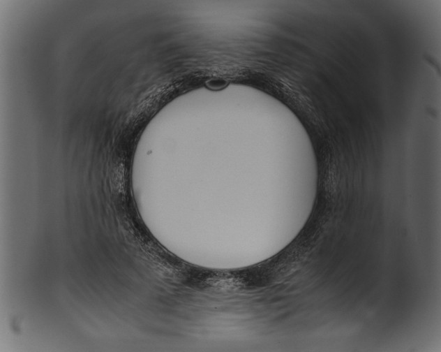 X0000101220689200807181552