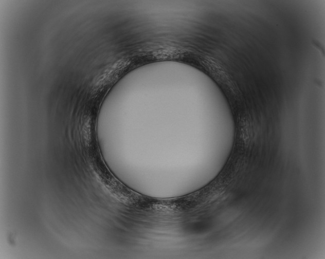 X0000101220690200807181552