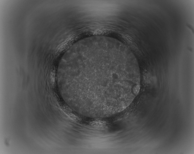 X0000101220691200807181552