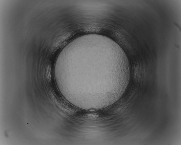 X0000101220692200807181552