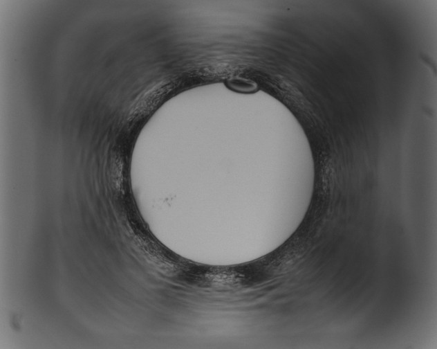 X0000101220693200807181552