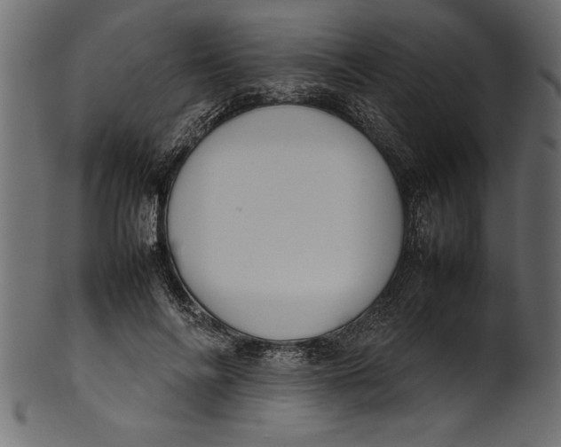 X0000101220694200807181552