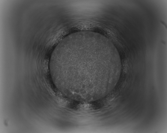 X0000101220695200807181552