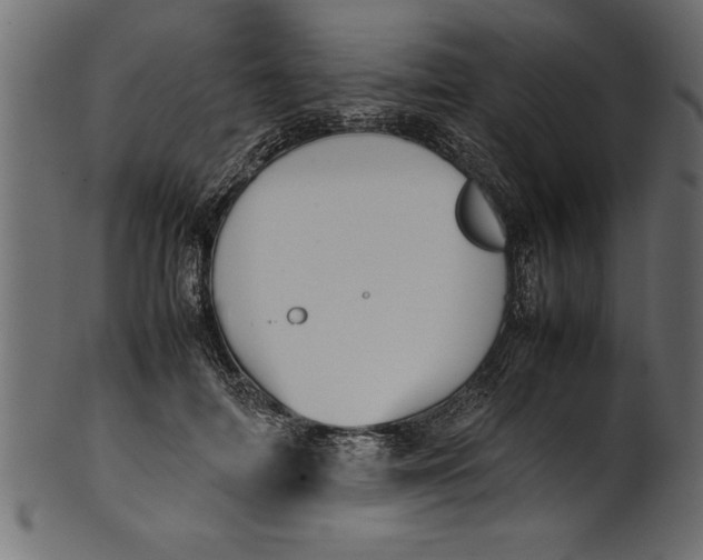 X0000101220698200807181552
