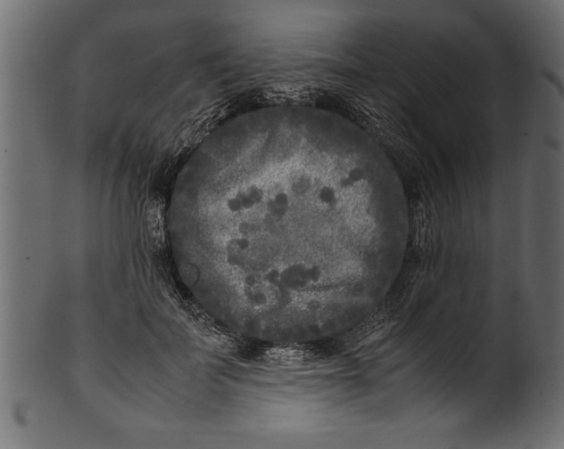 X0000101220699200807181552