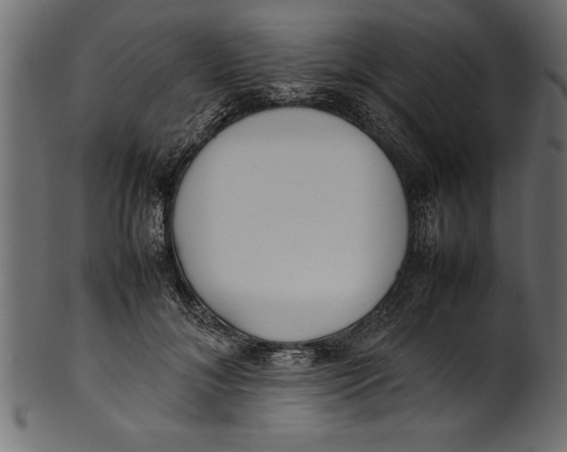 X0000101220700200807181552