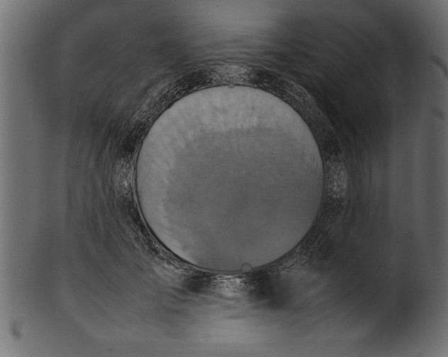 X0000101220701200807181552