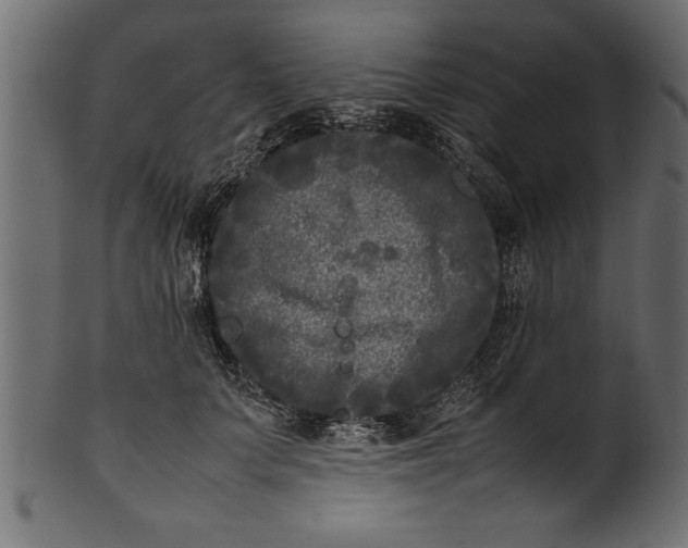 X0000101220703200807181552