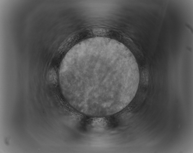 X0000101220705200807181552