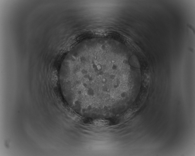 X0000101220707200807181552