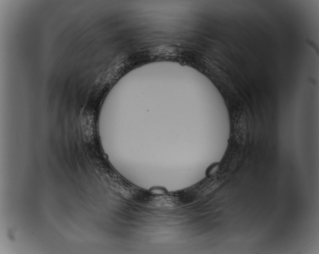 X0000101220708200807181552